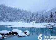 【今日朝陽網(wǎng)】盼雪（陳思羽）