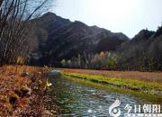 【今日朝陽網(wǎng)】野游獨(dú)處大河北 神思放想紅谷南（孫超）