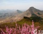 【今日朝陽網(wǎng)】滄桑大陽山，老家門口唱大戲（高學(xué)敏）