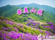 【今日朝陽網(wǎng)】最美山花（下）（劉文艷）