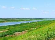 江河萬里海湖渾——淮河（陳玉民）