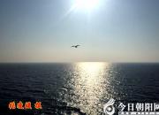 江河萬里海湖渾——中國渤海（陳玉民）