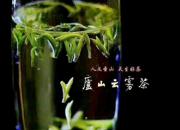 【今日朝陽(yáng)網(wǎng)】茶之為飲（周艷麗）