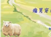 【養(yǎng)殖】瘤胃穿刺｜公益課（魏坤）