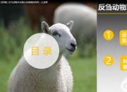 【養(yǎng)殖】反芻動物對非蛋白含氮物的利用｜公益課（馮會中）