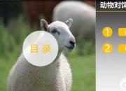 【養(yǎng)殖】動物對飼料的消化與吸收｜公益課（馮會中）