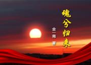 《魂兮歸來(lái)》010（金一南）