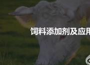 【養(yǎng)殖】飼料添加劑及應(yīng)用｜公益課（馮會中）