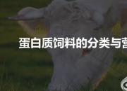 【養(yǎng)殖】蛋白質(zhì)飼料的分類及營養(yǎng)特點(diǎn)｜公益課（馮會中）