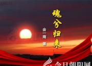 《魂兮歸來》027（金一南）