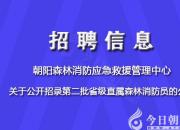 這里公開招聘森林消防員，趕快來報(bào)名吧！