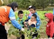 春風(fēng)十里，紅纓幼兒園在這里等你！