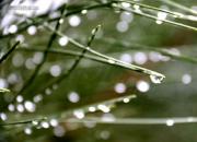 今日雨水