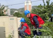 鳳山凌水間的供電情深——國(guó)網(wǎng)朝陽(yáng)雙塔區(qū)供電分公司凌東服務(wù)站傾情服務(wù)客戶側(cè)記